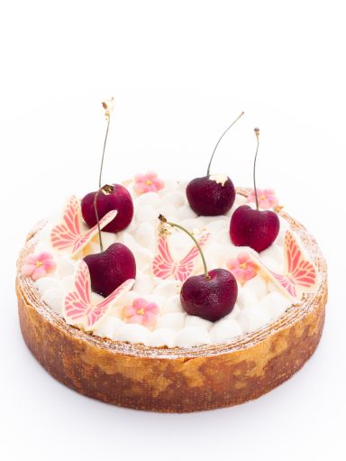 Mehrere Pink weiße Schmetterlingsdekore aus Schokolade angerichtet auf einem Kuchen mit Kirschen.